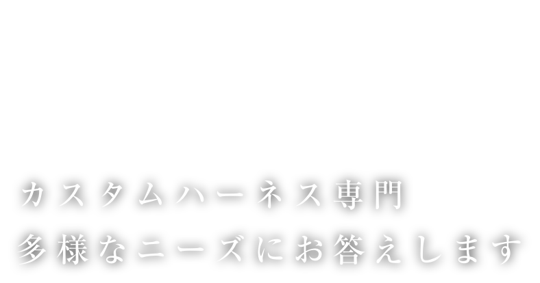 カスタムハーネス専門、多様なニーズにお答えします